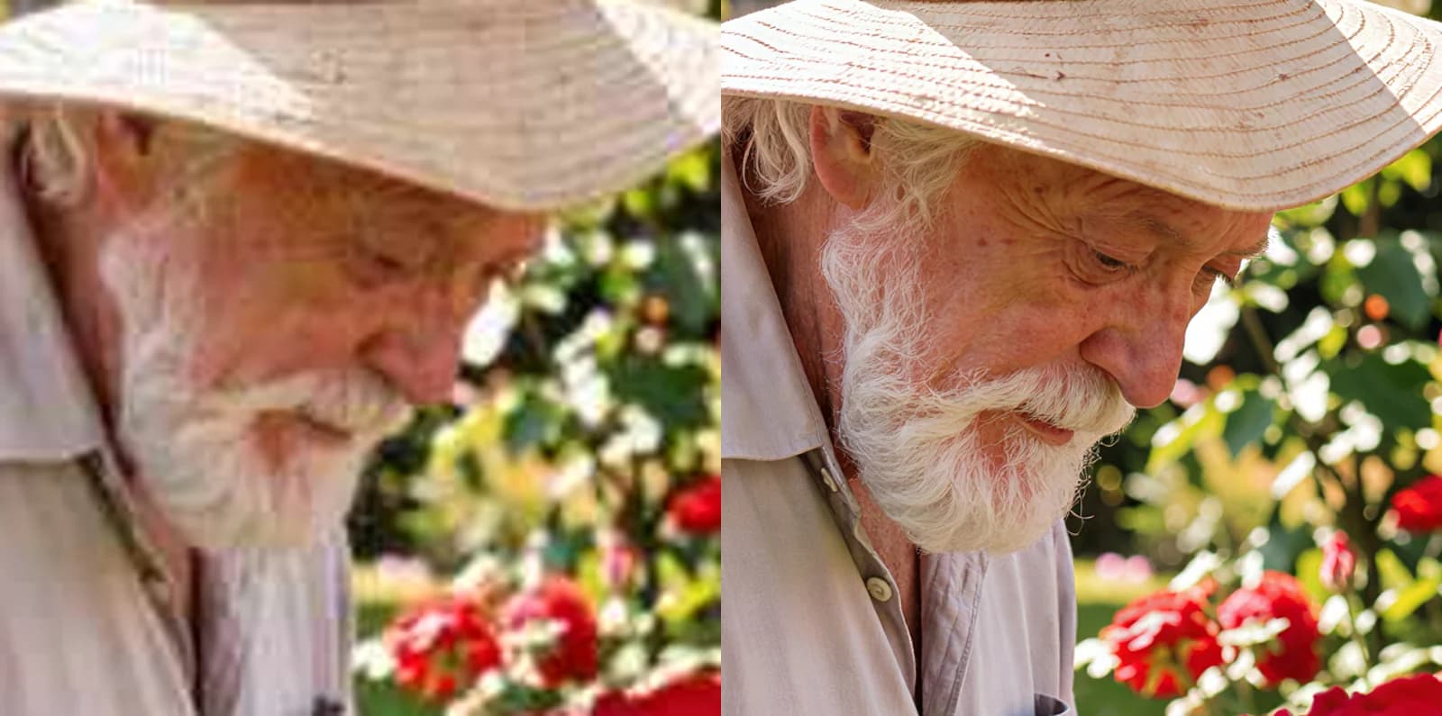 A close-up of an old man's face under a straw hat: blurry and blocky on the left, sharp beard hairs, wrinkles and hat weave on the right