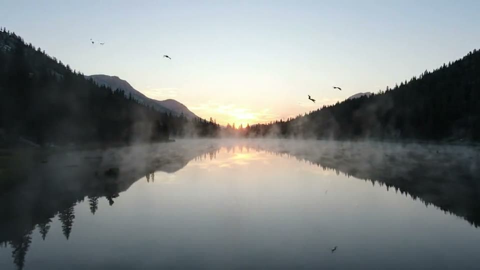 A drone shot gliding low over a misty mountain lake at sunrise with pine forests on the shore