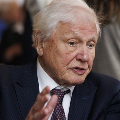 David Attenborough