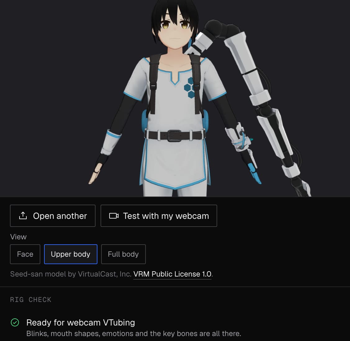 VTuber Model Viewer with the sample VRM model loaded and its rig check passed