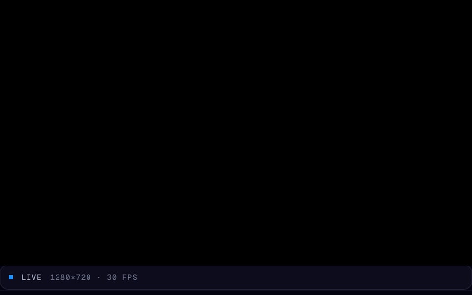 Webcam Test: the picture is black